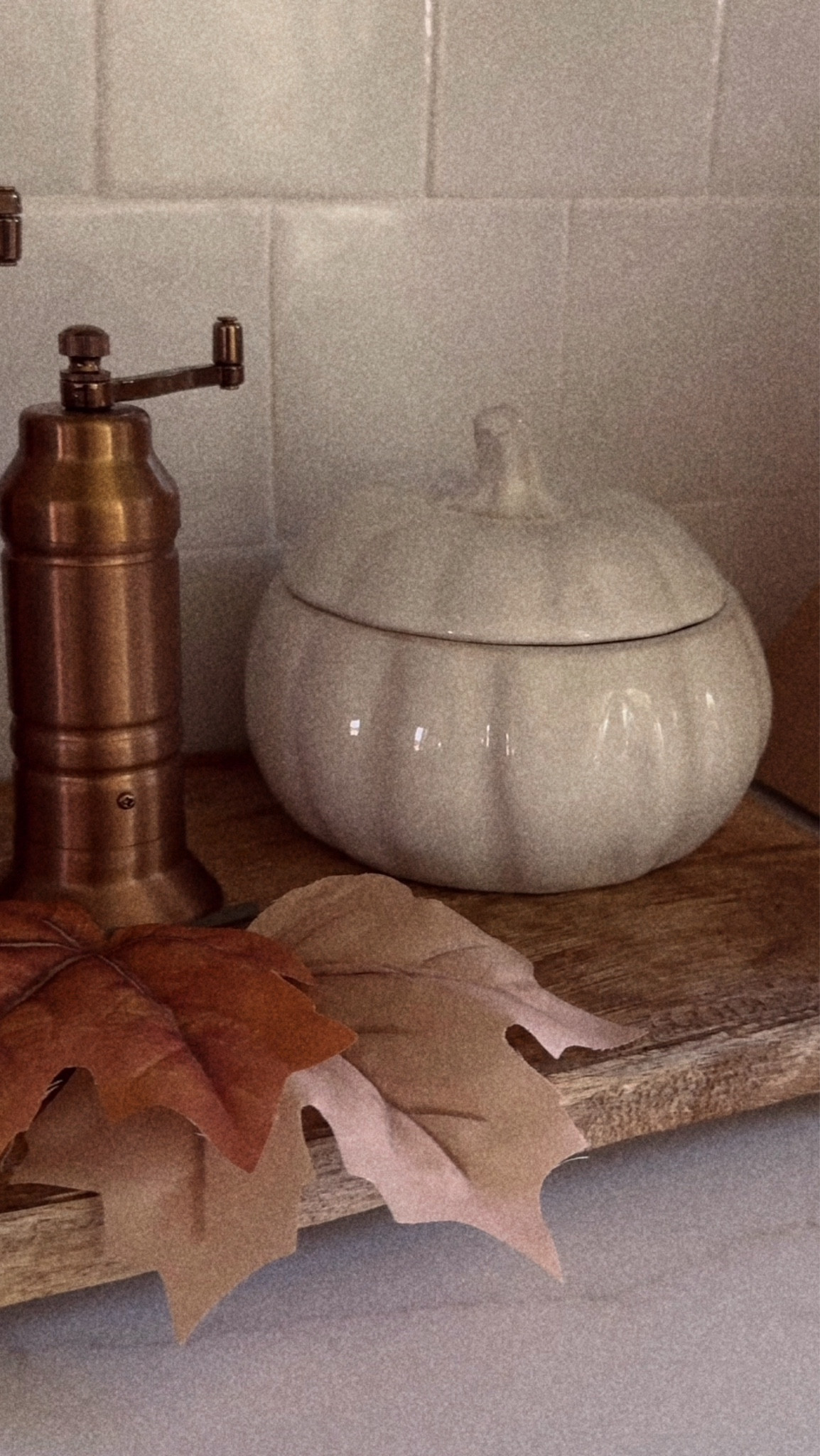 ✨Nothing feels better than a freshly cleaned corner dressed up with a touch of fall 🍂 A little wipe down, and subtle pumpkin with a touch of fall leaves made this kitchen space feel brand new. Sometimes the best décor is a clean slate with seasonal charm. 🧼✨

#LTKSeasonal #LTKStyleTip #LTKHome