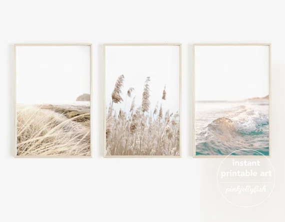 Pampas Beach Prints Set of 3 Printable Wall Art Coastal 3 - Etsy | Etsy (US)