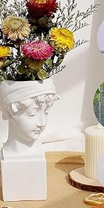 Head Planters for Indoor Plants Face Planters Pots Female Boho Chic Vase Head Statue for Shelf, Head | Amazon (US)