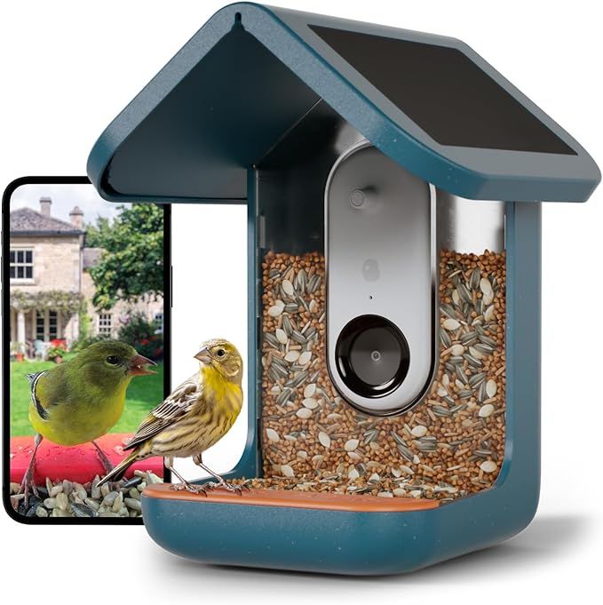 BIRD BUDDY® Original Smart Bird Feeder with Camera Solar Powered. High Resolution AI Bird Feeder... | Amazon (US)