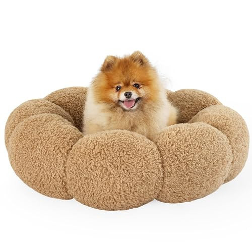 Lesure Calming Small Dog Bed - Flower Donut Round Fluffy Puppy Bed in Plush Teddy Sherpa, Non-Slip Cute Flower Cat Beds for Indoor Cats, Small Pet Bed Fits up to 25 lbs, Machine Washable, Camel 23" | Amazon (US)