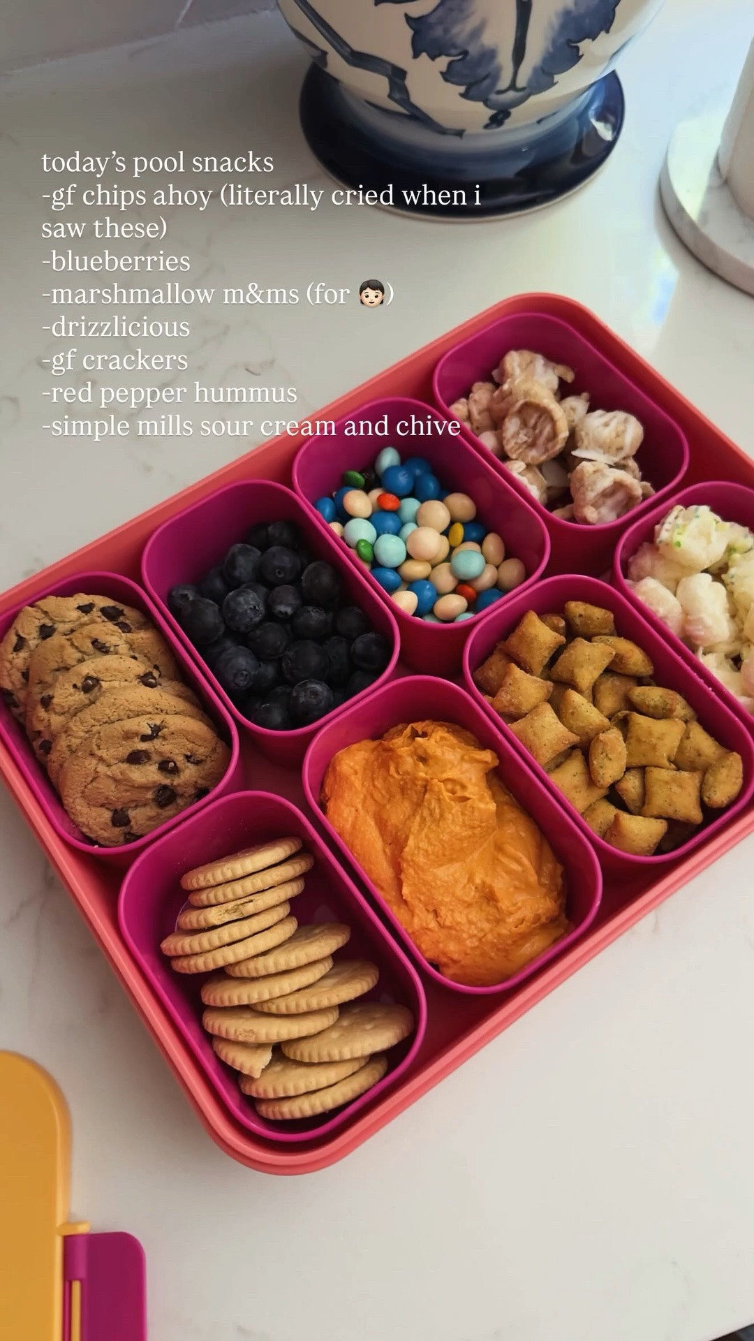 today’s pool snacks
-gf chips ahoy (literally cried when i saw these)
-blueberries 
-marshmallow m&ms (for 🧒🏻)
-drizzlicious
-gf crackers
-red pepper hummus
-simple mills sour cream and chive