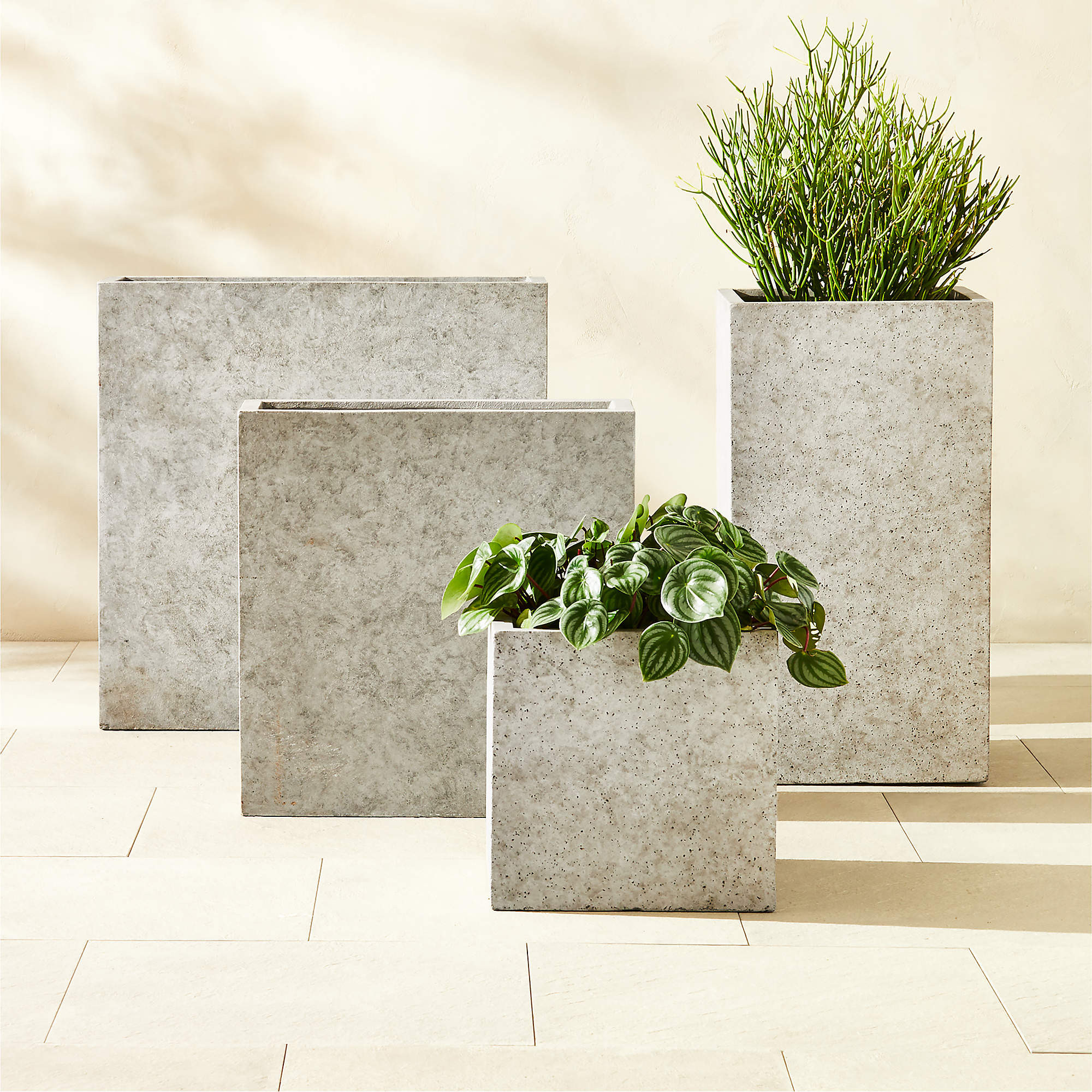 Ash Square Grey Cement Indoor/Outdoor Planter Small + Reviews | CB2 | CB2