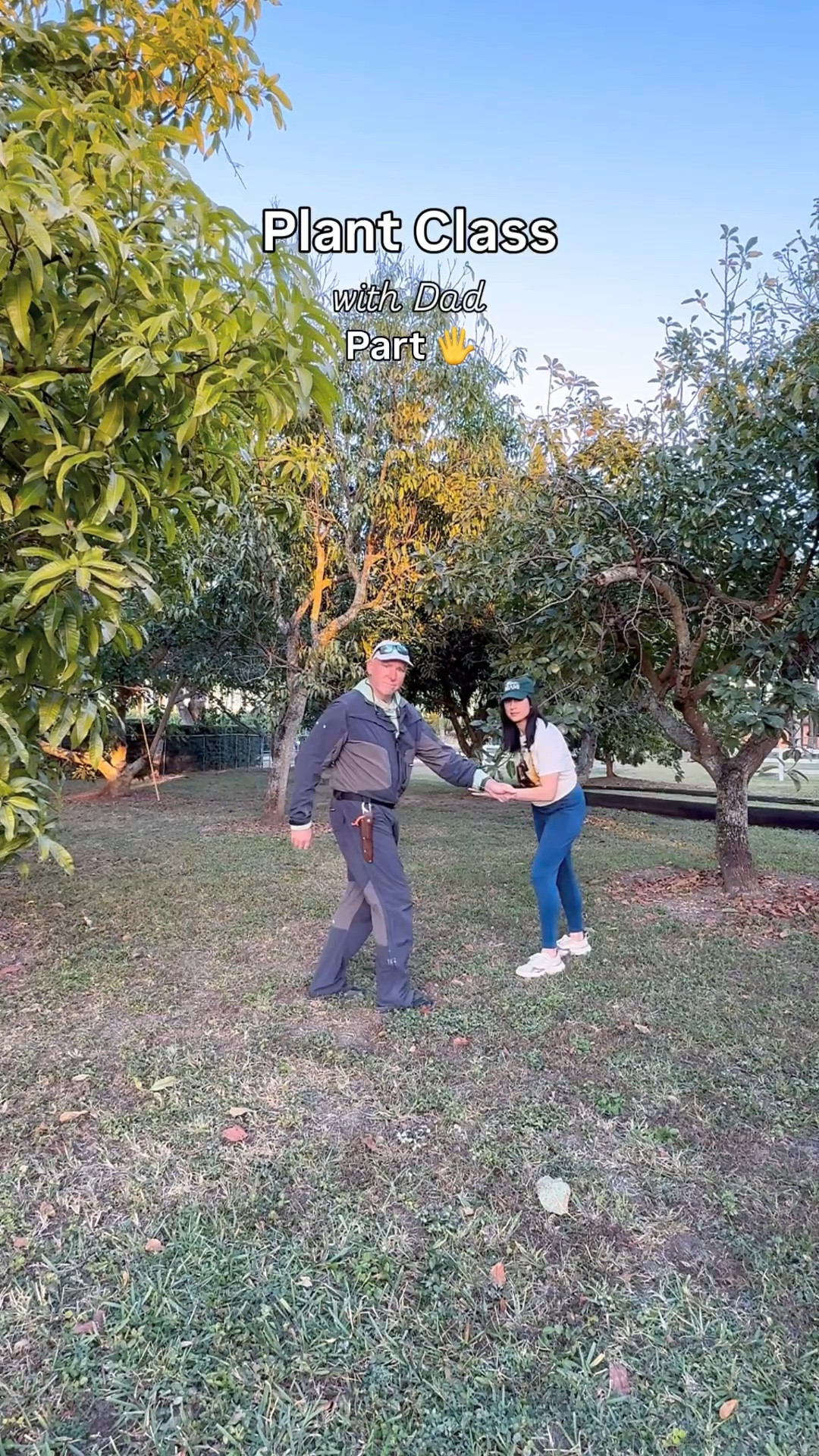 Plant Class woth Dad Part ✋🏽

Back with another repot but using @Sol Soils Chunky Perlite & LECA ball mixes to amend our soil 🪴 

Check back soon as I’ll share a bonus episode with a bit of a science lesson on how the perlite & LECA balls work and some fun announcements regarding mango 🥭 and avocado 🥑 season 🌟 

Save for your spring & summer plant upgrades, find more like this in my Home collection, & follow me for more ✨ 

repotting plants • plant soil • best plant soil • indoor plant care • indoor plant ideas • spring plants • spring garden • spring gardening • spring reset • plant reset 

#LTKHome #LTKstorytime #LTKvlog