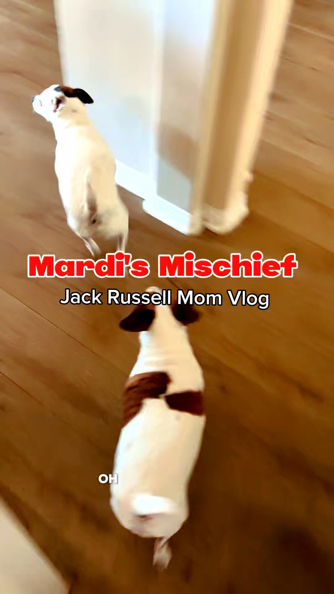 Never Doane moment with these two! ￼￼

#LTKstorytime #LTKdayinmylife #LTKvlog