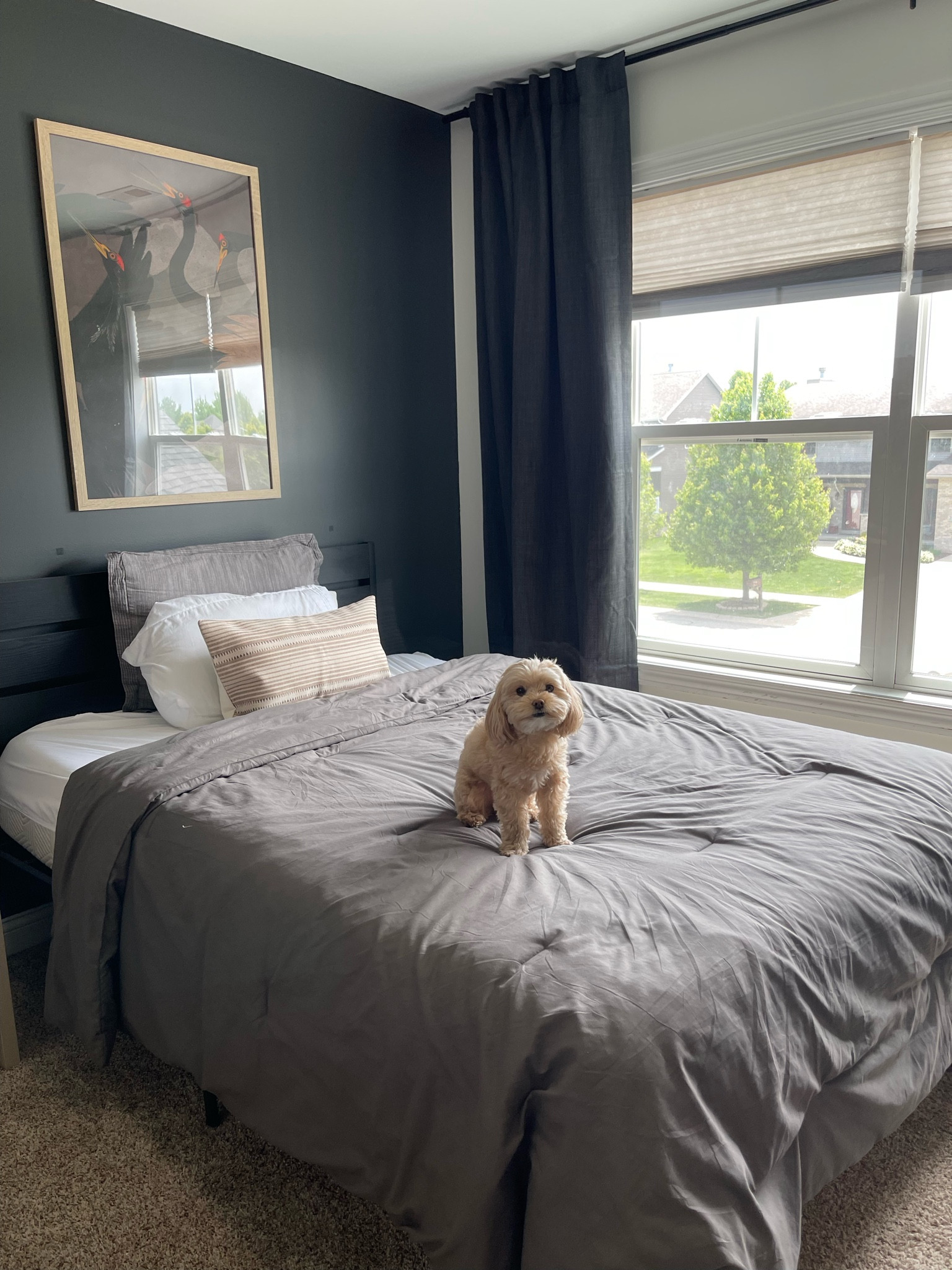 Masculine men’s bedroom, boys bedroom, comforter, gray, iron ore, crane art, artwork, curtains 

#LTKmens #LTKFind #LTKhome