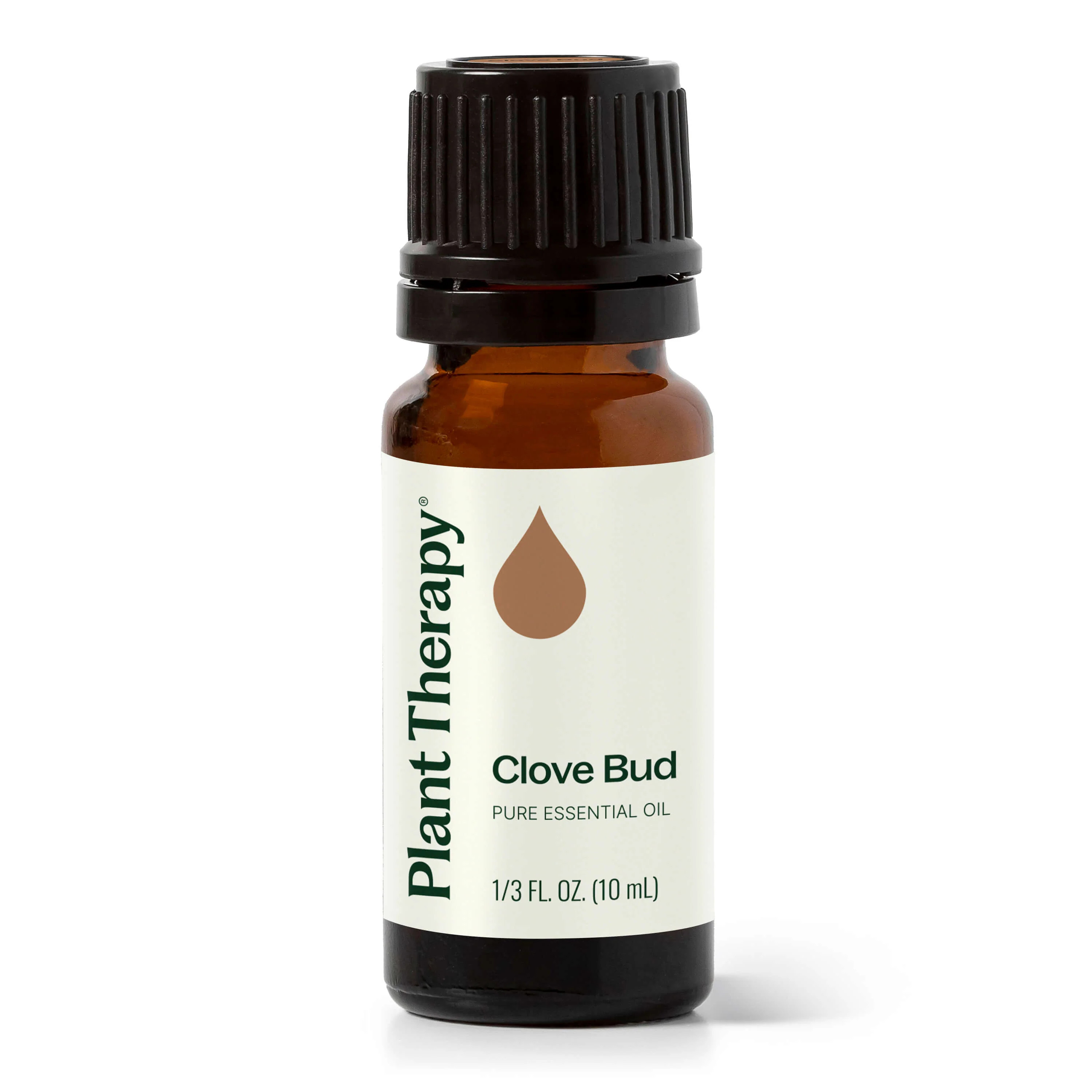 Clove Bud Essential Oil | Plant Therapy