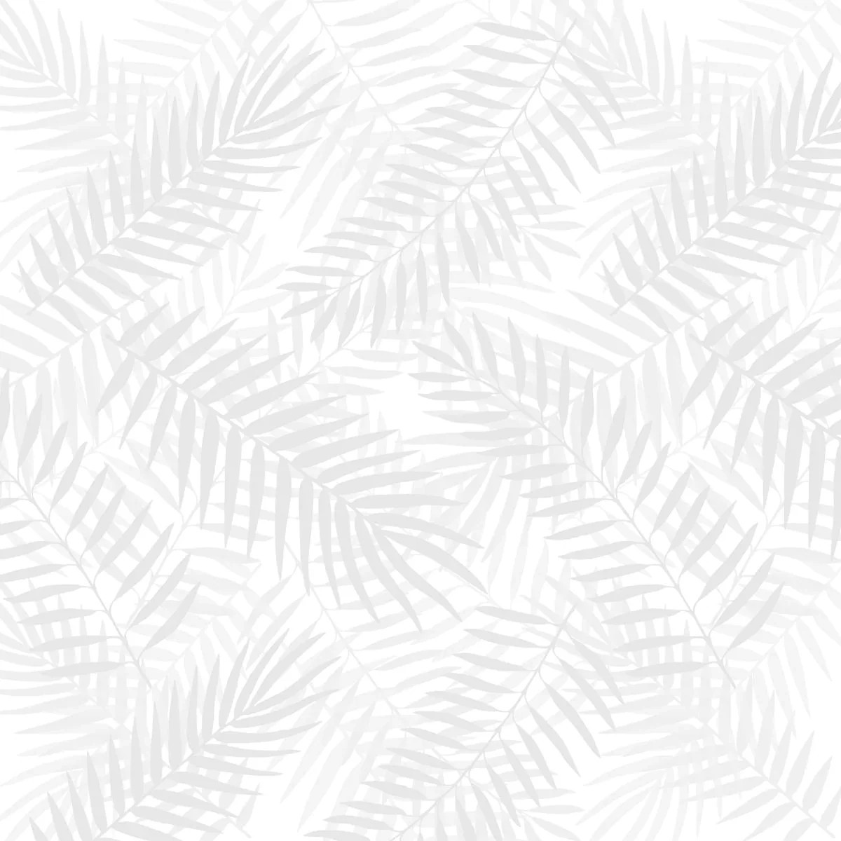 Palm Shadows | Dizzy With Excitement
