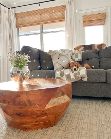 Summer living room decor. Coffee table. Grey sectional. Living room rug. 

#LTKSeasonal #LTKHome #LTKSaleAlert