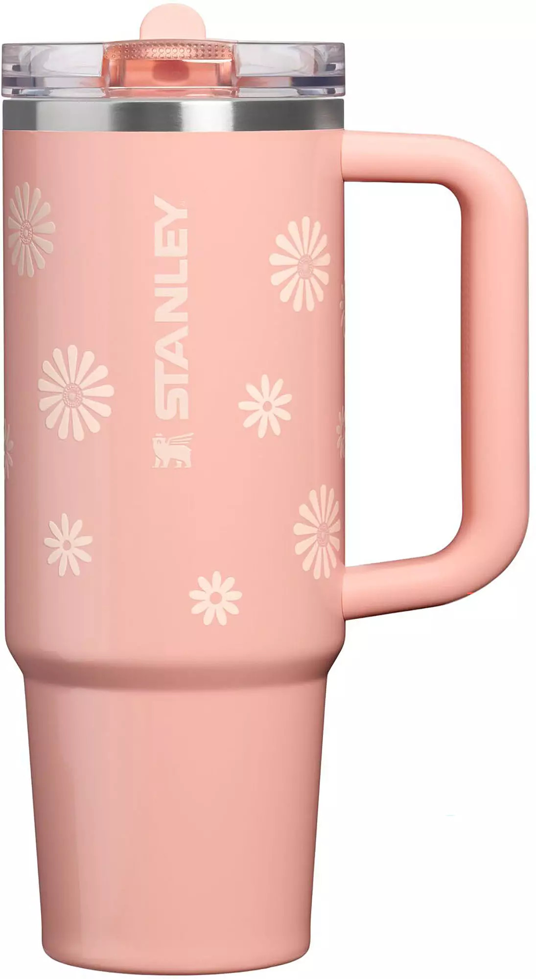 Stanley 30 oz. Quencher ProTour Flip Straw Tumbler | DICK'S Sporting Goods