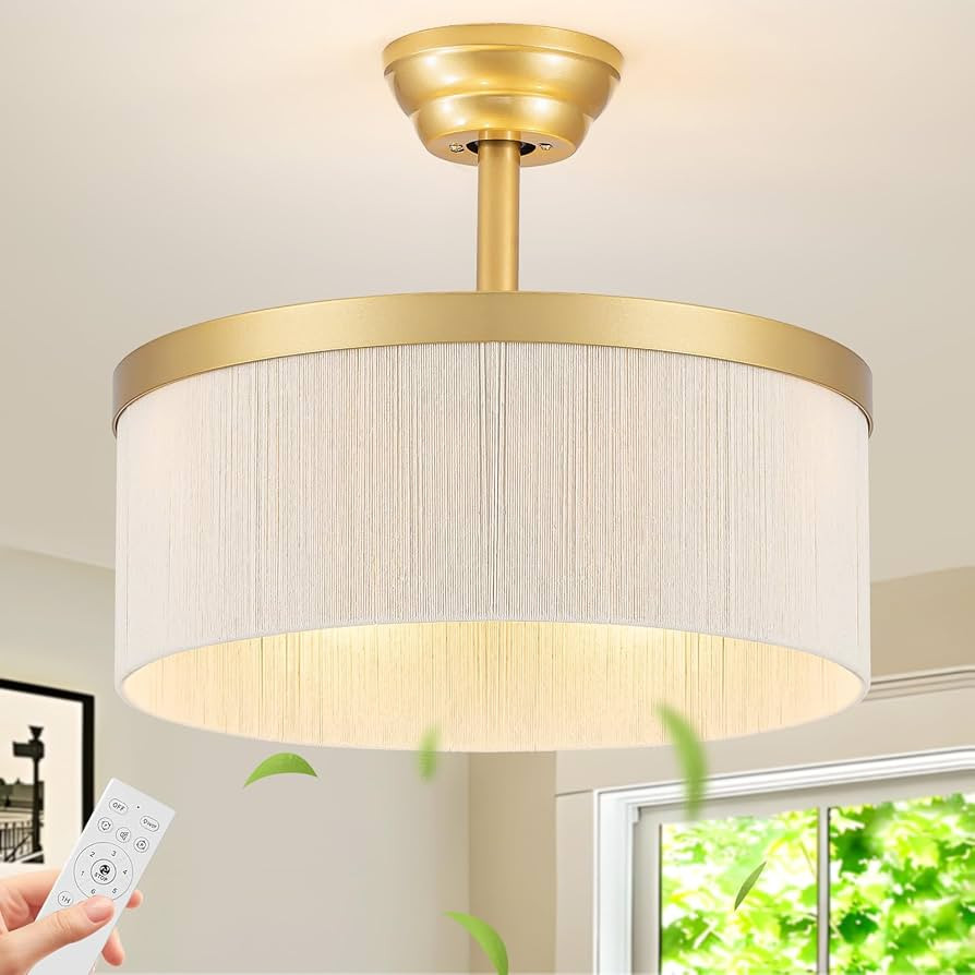 Boho Fandelier Caged Ceiling Fan with Light, Gold Rattan Chandelier Fan with Remote Control, 6 Sp... | Amazon (US)