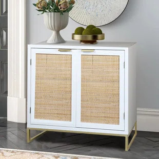 Bayou Breeze Lolita Iron 2 - Door Accent Cabinet | Wayfair North America