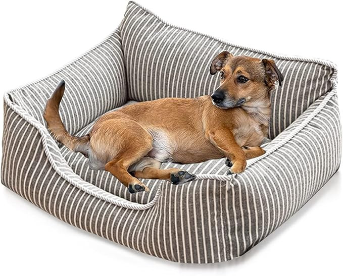 PETCUTE Panier pour Chien Durable et Confortable, Lavable en Machine, Respirant avec Antidérapan... | Amazon (FR)