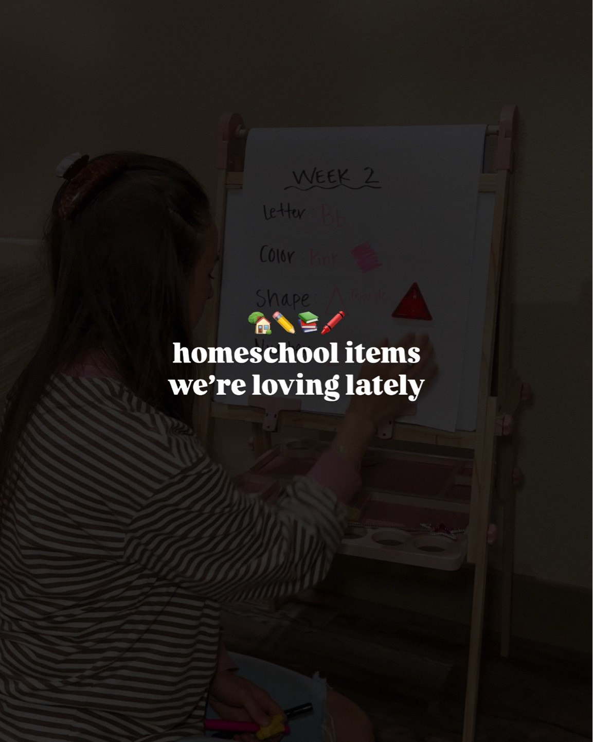 What we’re loving for homeschool right now🏡✏️📚🖍️

#LTKmomlife #LTKKids #LTKHome