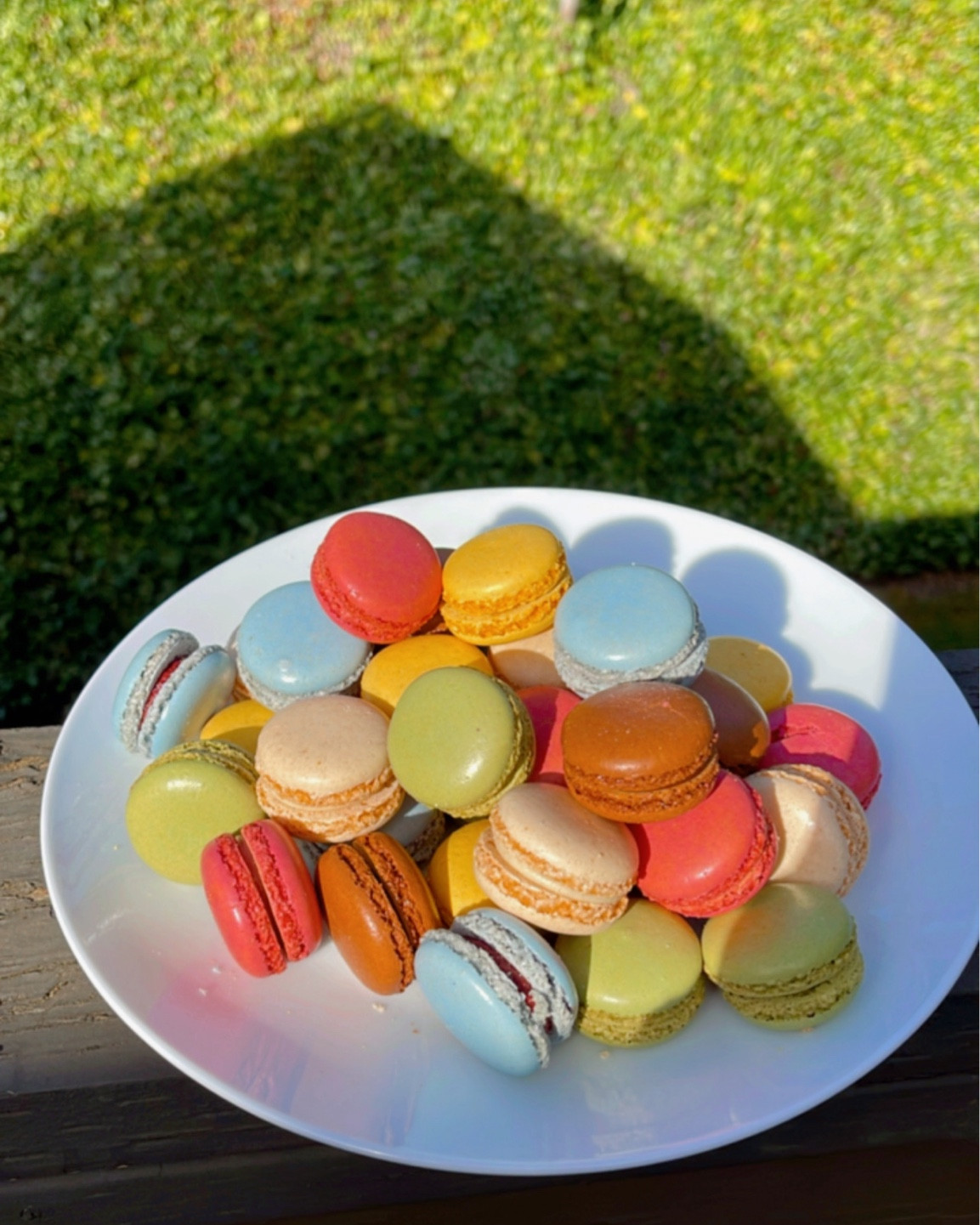 #macaron #macaroon #macarons #macaroons #cookies #flavors #rainbow #yum #california #cali #socal #macaroncookies #macarooncookies #lemon #coffee #mango #french #frenchmacarons #frenchmacaroons #gourmet #dessert #treat #sweet #sugar #snack #sweettooth #gardenbloom #baked #espresso #gardenrose #garden #rose #tennesseebourbon #tennessee #bourbon #pecan #passionfruitmango #passionfruit #passion #fruit #raspberry #honeylavender #honey #lavender #madagascarvanilla #madagascar #vanilla #nogluten #glutenfree #authentic #recipe #fresh #naturalingredients #natural #ingredients #europe #sandiego #confections #delicious #freshbaked #pastries #pastry #sweettreat #costco

#LTKstyletip #LTKbeauty #LTKhome