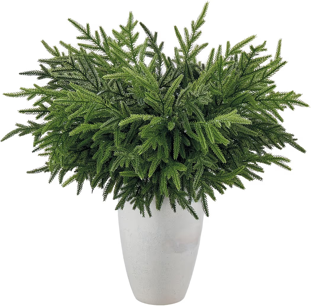 HIKISS 8 Pcs Realism Artisan-Crafted Norfolk Pine Branch - 24" Artificial Christmas Greenery Stem... | Amazon (US)