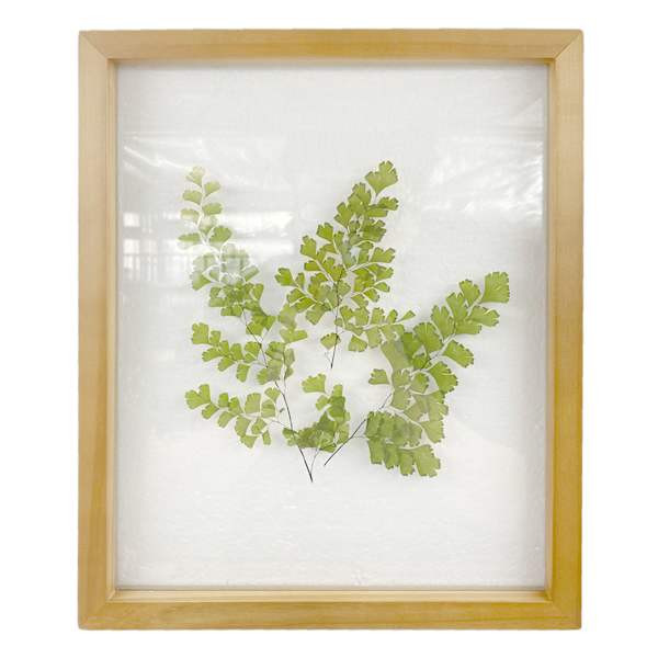 Glass Framed Botanical Wall Art, 10x12 | At Home