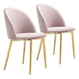 Zuo Cozy Dining Chair, Pink | Amazon (US)