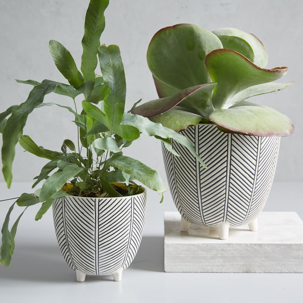 Art in the Forest Handpainted Cachepots - Herringbone | West Elm (US)