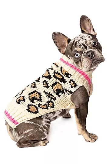 Chilly Dog Leopard Dog Sweater | Free People (Global - UK&FR Excluded)