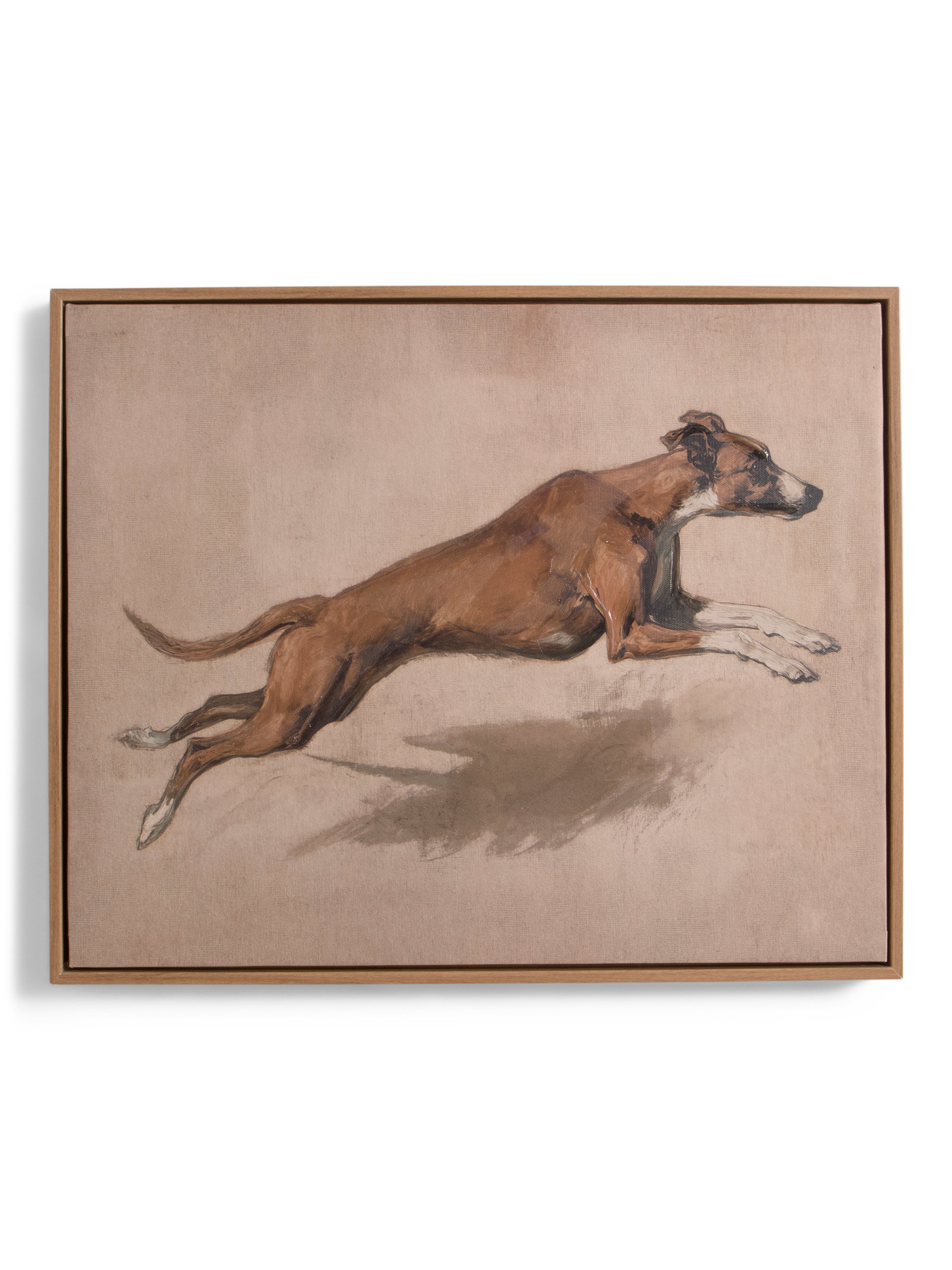 21x17 Running Dog Wall Art | TJ Maxx