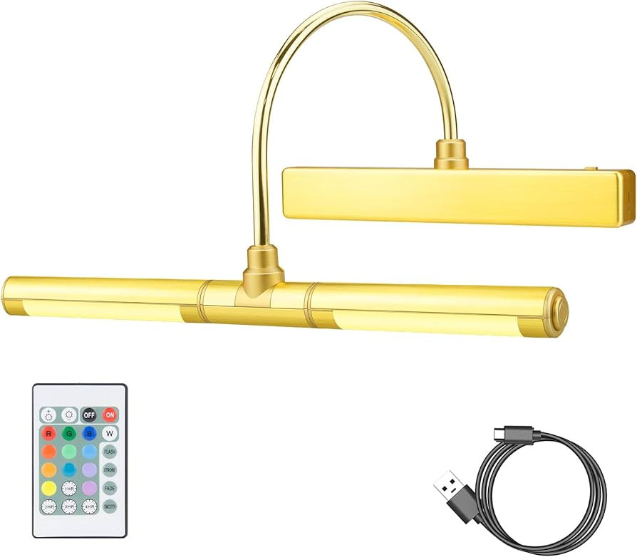Wireless Picture Lights for Paintings,Recgargeable Battery Art Display Light with Remote Control,... | Amazon (US)