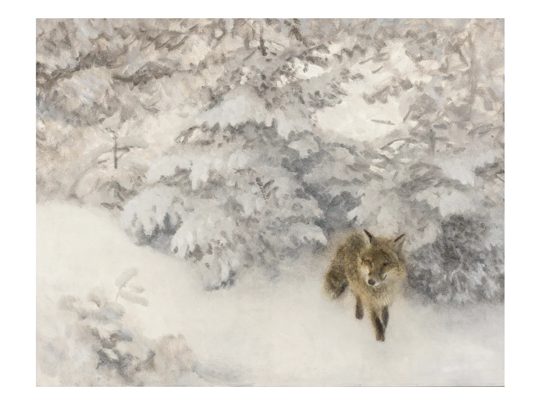 Forest Fox | Heirloom Print Shop