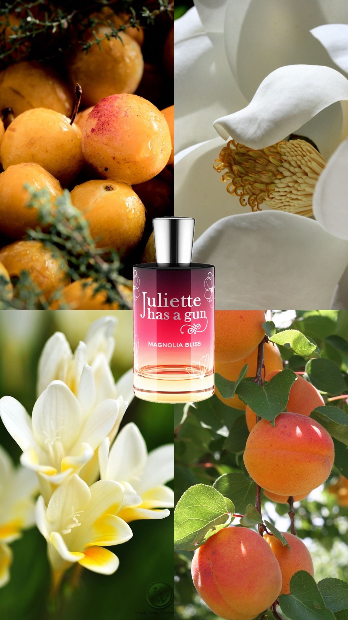 ✨ Happy National Fragrance Day! ✨ Let’s celebrate the power of scent, the memories it unlocks, the confidence it inspires, and the beauty it adds to everyday life. Today I’ll be posting some of my all time favorite fragrances but what fragrance are you wearing to mark the day? 💐 #NationalFragranceDay #ScentOfTheDay

#LTKBeauty #LTKStyleTip #LTKFindsUnder100
