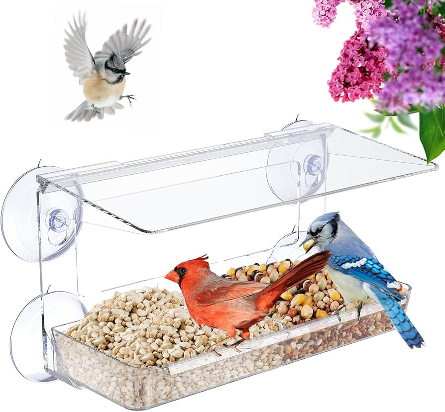 Window Bird Feeder with Strong Suction Cups, Clear Window Bird feeders for Viewing, Window Bird H... | Amazon (US)