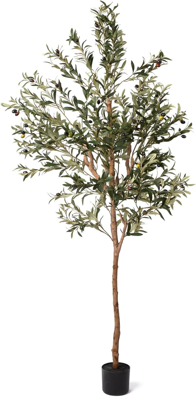6FT Artificial Olive Tree - Realistic Faux Silk Indoor Plant with Lifelike Olives, Sturdy Natural... | Amazon (US)