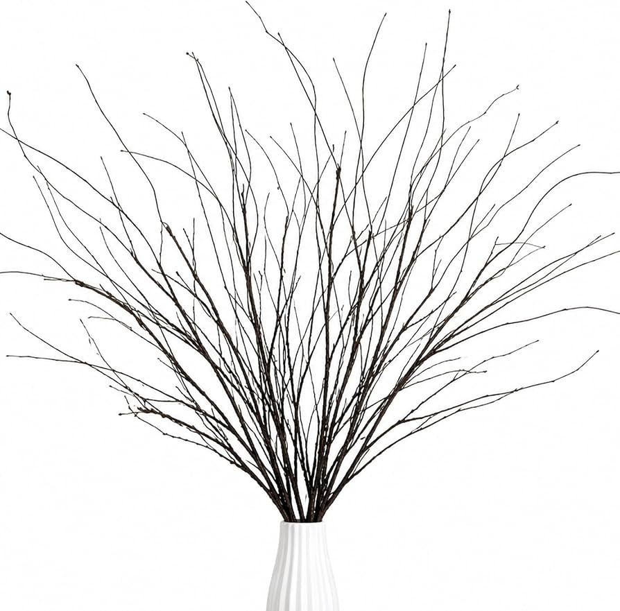 RAINFLOW Curly Willow Branches - Artificial Twigs for Vases 30 Inches | Amazon (US)