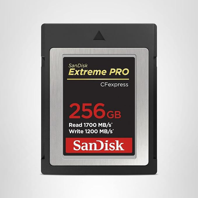 SANDISK 256GB Extreme PRO CFexpress Card Type B - SDCFE-256G-GN4NN | Amazon (US)