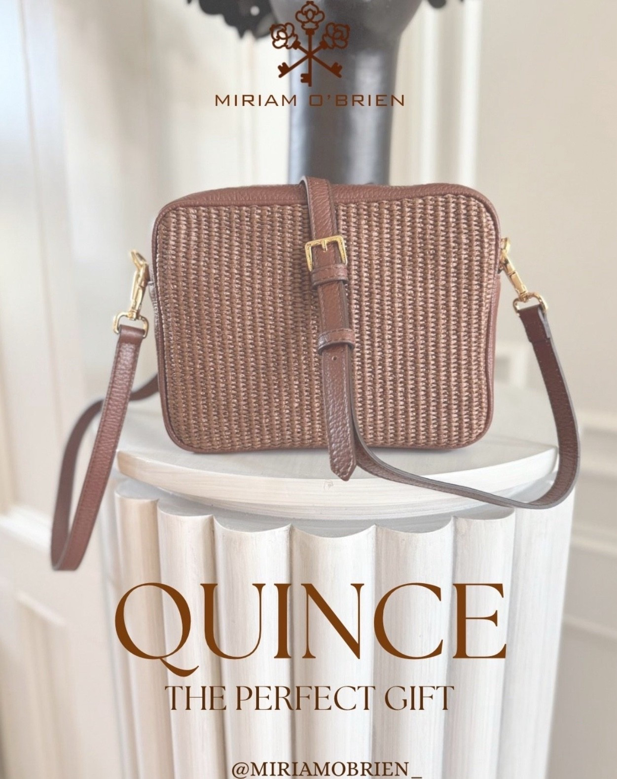The perfect gift for her!! 

Follow me at @miriamobrien_ on IG and TikTok!

#QuinceBag #QuinceTrend #SeasonalBag #HolidayGift

#LTKOver40 #LTKGiftGuide #LTKHoliday

#LTKHoliday #LTKGiftGuide #LTKOver40