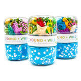 Young and Wild and Friedman Grab & Go Dough-Ocean | Persnickety