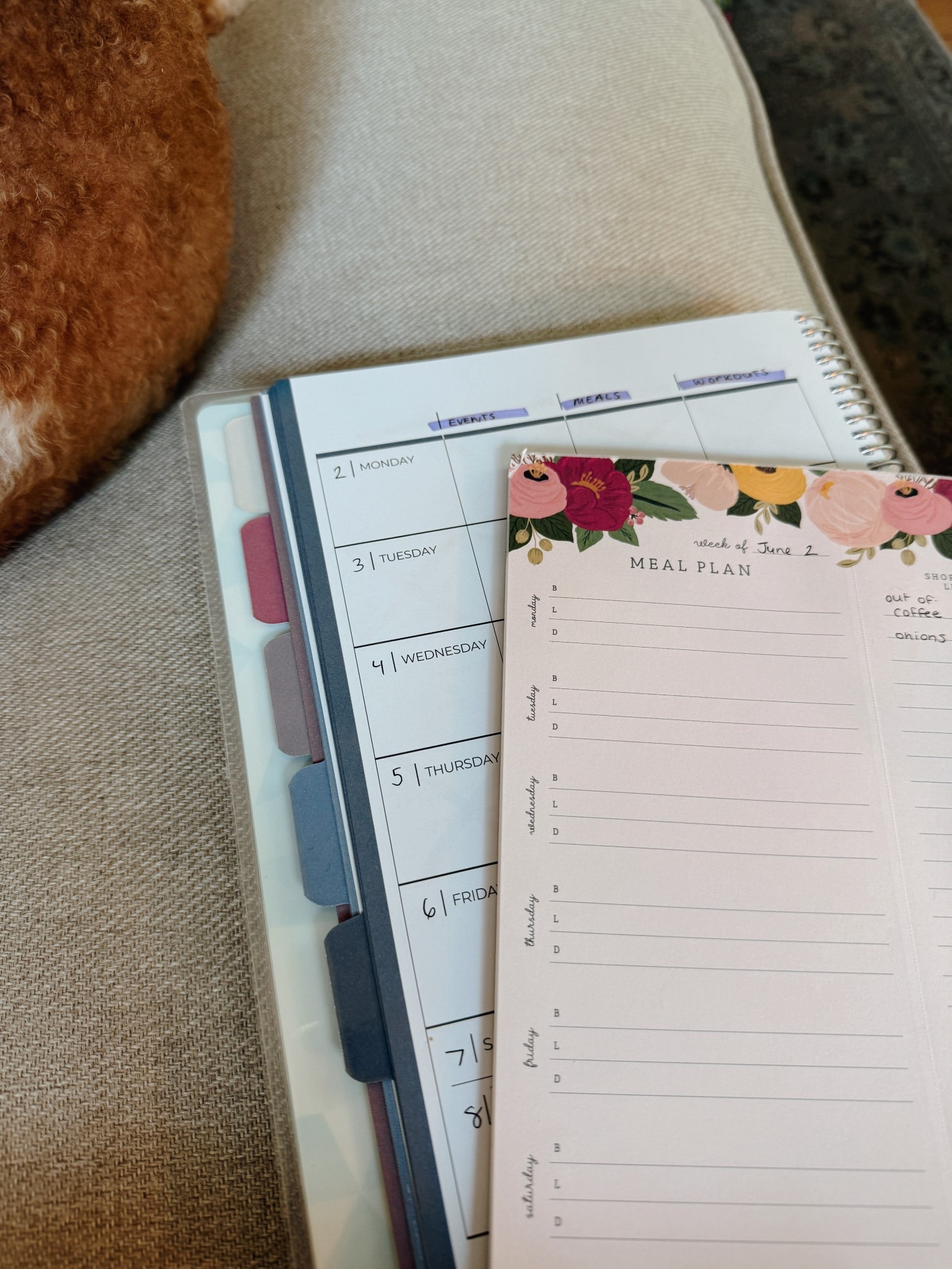 Things that make meal planning easier, all from Amazon! 