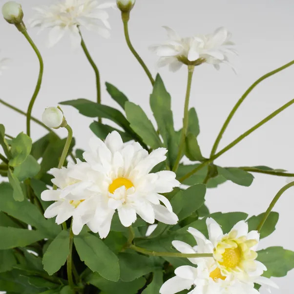 Artificial White Daisy in Terracotta Plant Pot | Dunelm