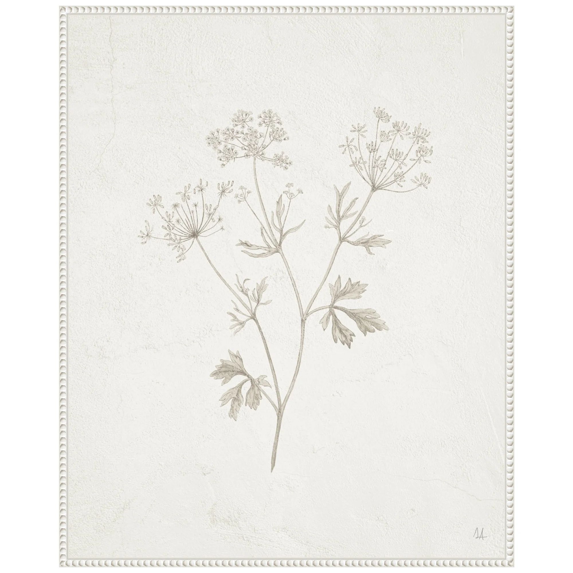 Amanti Art Plants from the Meadow IV Framed Canvas Wall Art Print - Walmart.com | Walmart (US)