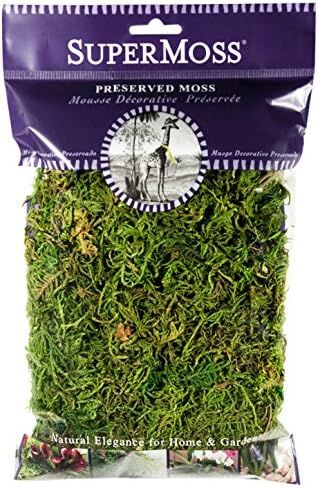 SuperMoss (25320) Forest Moss Preserved, Fresh Green, 2oz | Amazon (US)