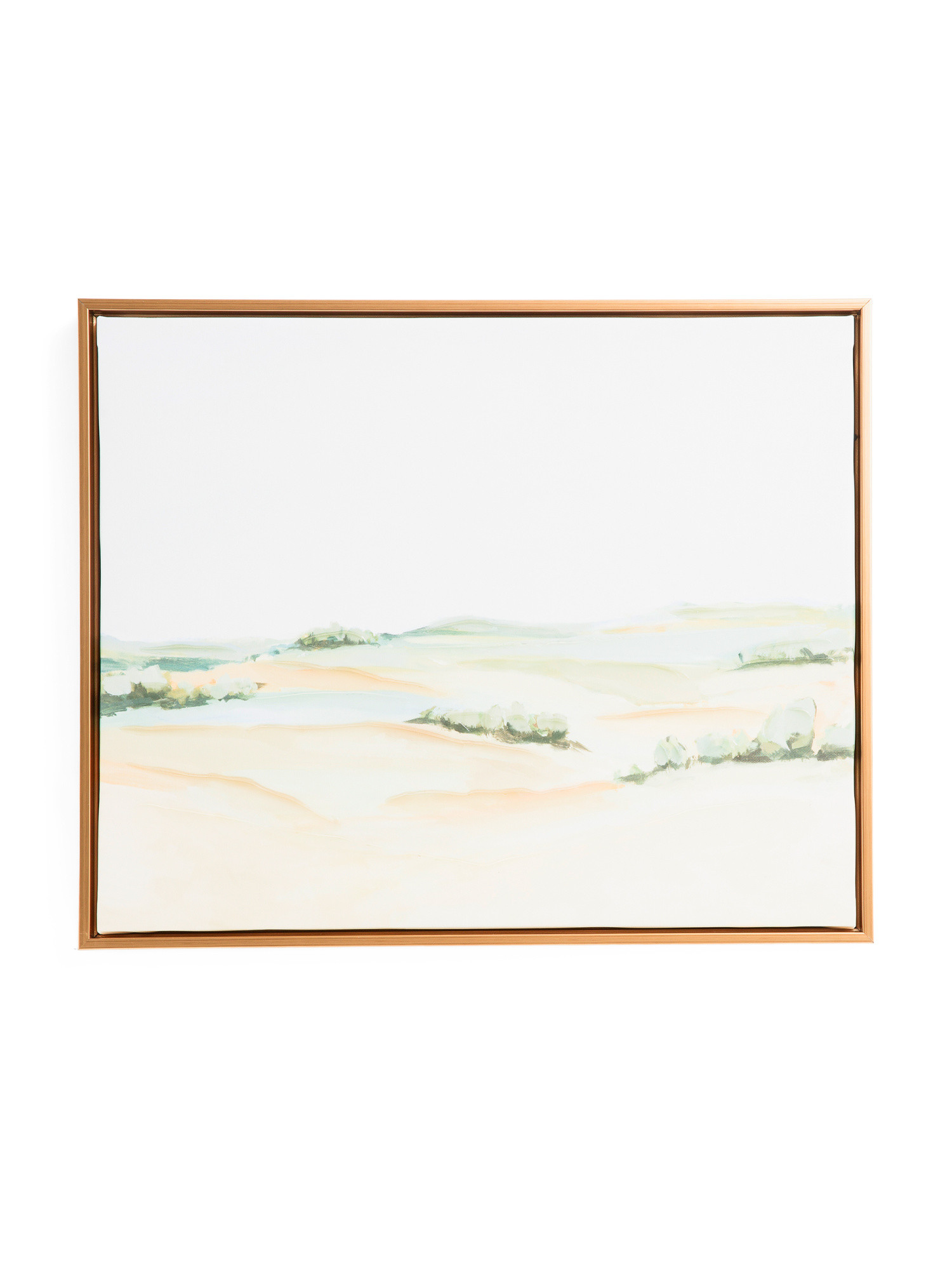 21x17 Wind And Earth Wall Art | TJ Maxx