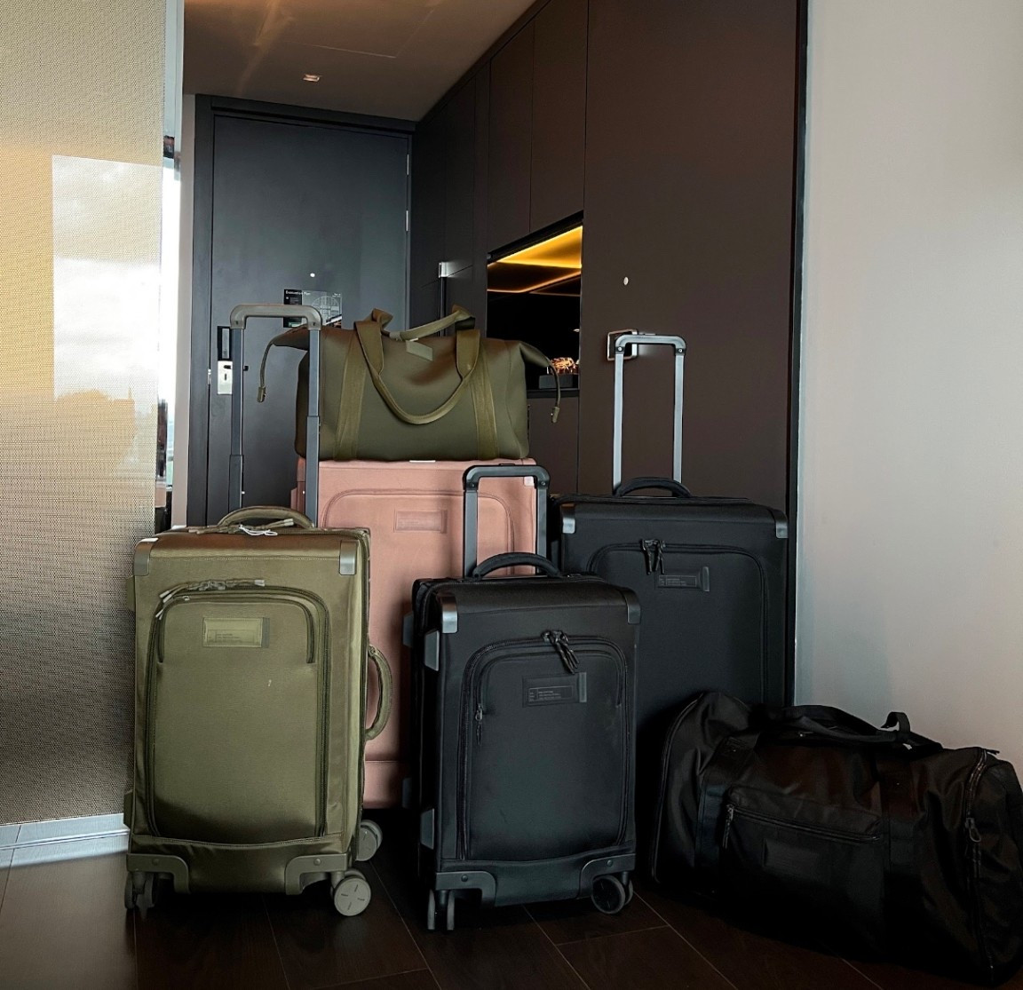 I’m literally obsessed with Dagne Dover! I have the checked luggage in ‘larger’ and the carry on in ‘larger’. I also have the Landon Carryall in medium and large. One for the gym and one for travel  

#LTKSaleAlert #LTKCyberWeek #LTKGiftGuide