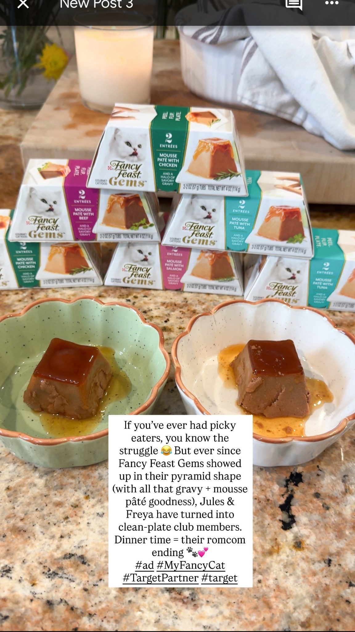 #ad
“When dinner looks like a fancy feast, you know it’s going to be a good night 😻✨ Jules and Freya have been cleaning their bowls ever since we introduced Fancy Feast Gems — and I can’t get over the adorable pyramid shape and savory gravy center!
#ad #MyFancyCat #TargetPartner #Target @target @FancyFeastcatfood 

