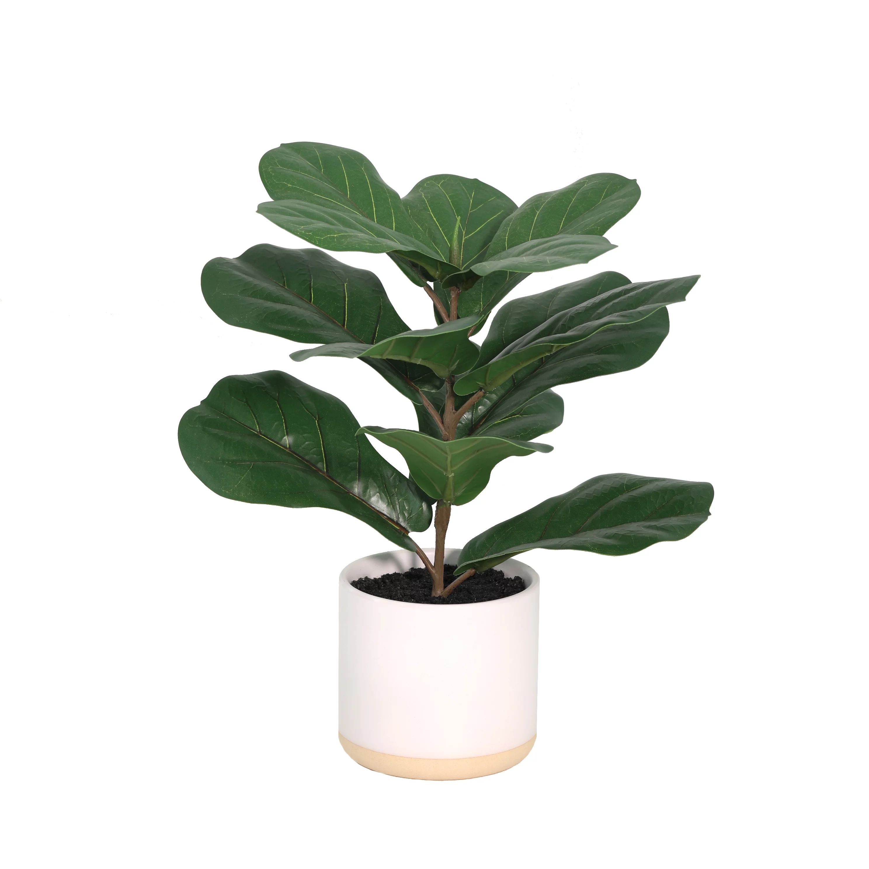 Mainstays 16.5" Tall Artificial Plant in Green Color, Potted Plant Fiddle  Tree in White Ceramic ... | Walmart (US)
