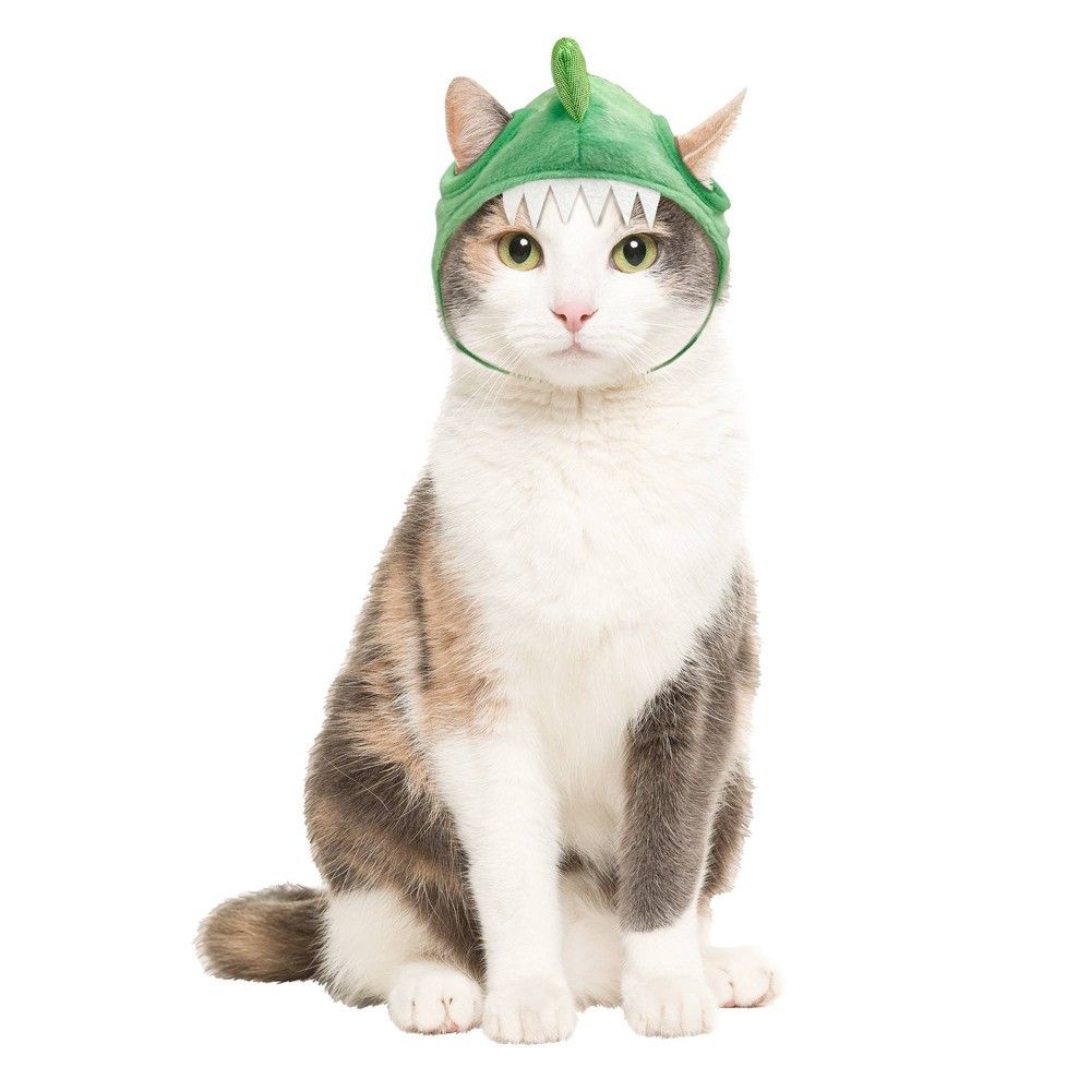 Halloween Dino Halloween Cat Costume - Hyde & EEK! Boutique , Adult Unisex, Size: Small, Green | Target