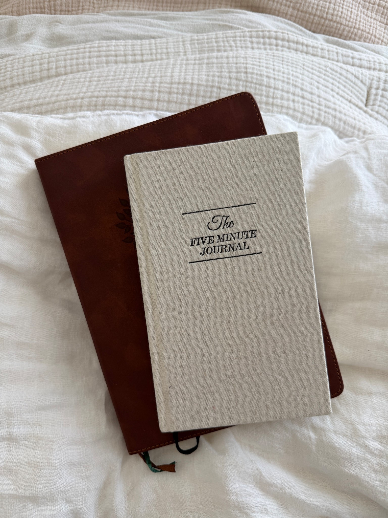 Gratitude is the fastest way to shift your energy ✨
Even on hard days, there’s always something to hold onto. 

 #LTKdayinmylife #LTKmomlife #LTKselfcare