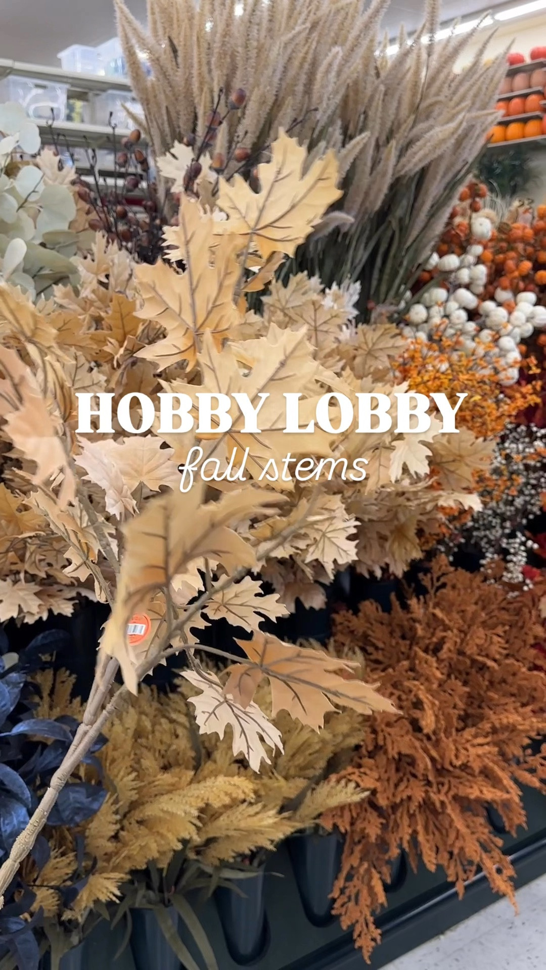 Look for less fall stems at hobby lobby! SKU: 5543079 online and in stores! 🍂🍁

#LTKHome #LTKSaleAlert #LTKSeasonal