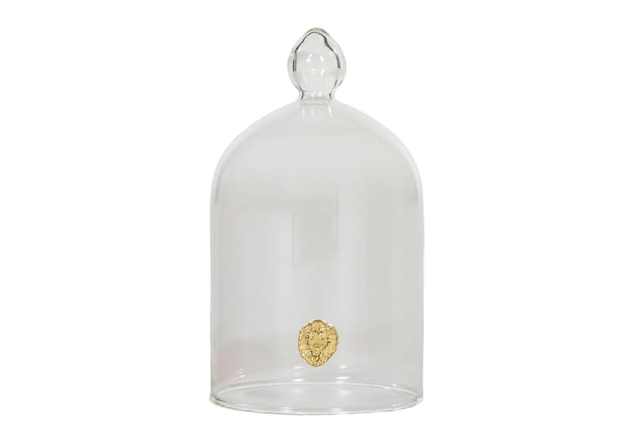 Alice Lane Glass Cloche – Clear Glass Dome Display Case for Home Decor, Centerpieces, Candles, ... | Amazon (US)