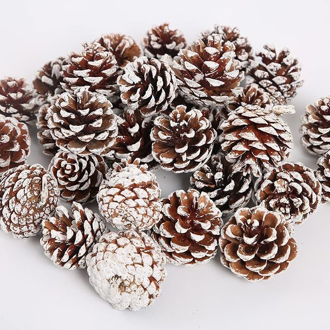 Christmas Natural Pine Cones Set, 21 PCS Rustic Pinecones for Christmas tree Ornaments/ Christmas... | Amazon (US)