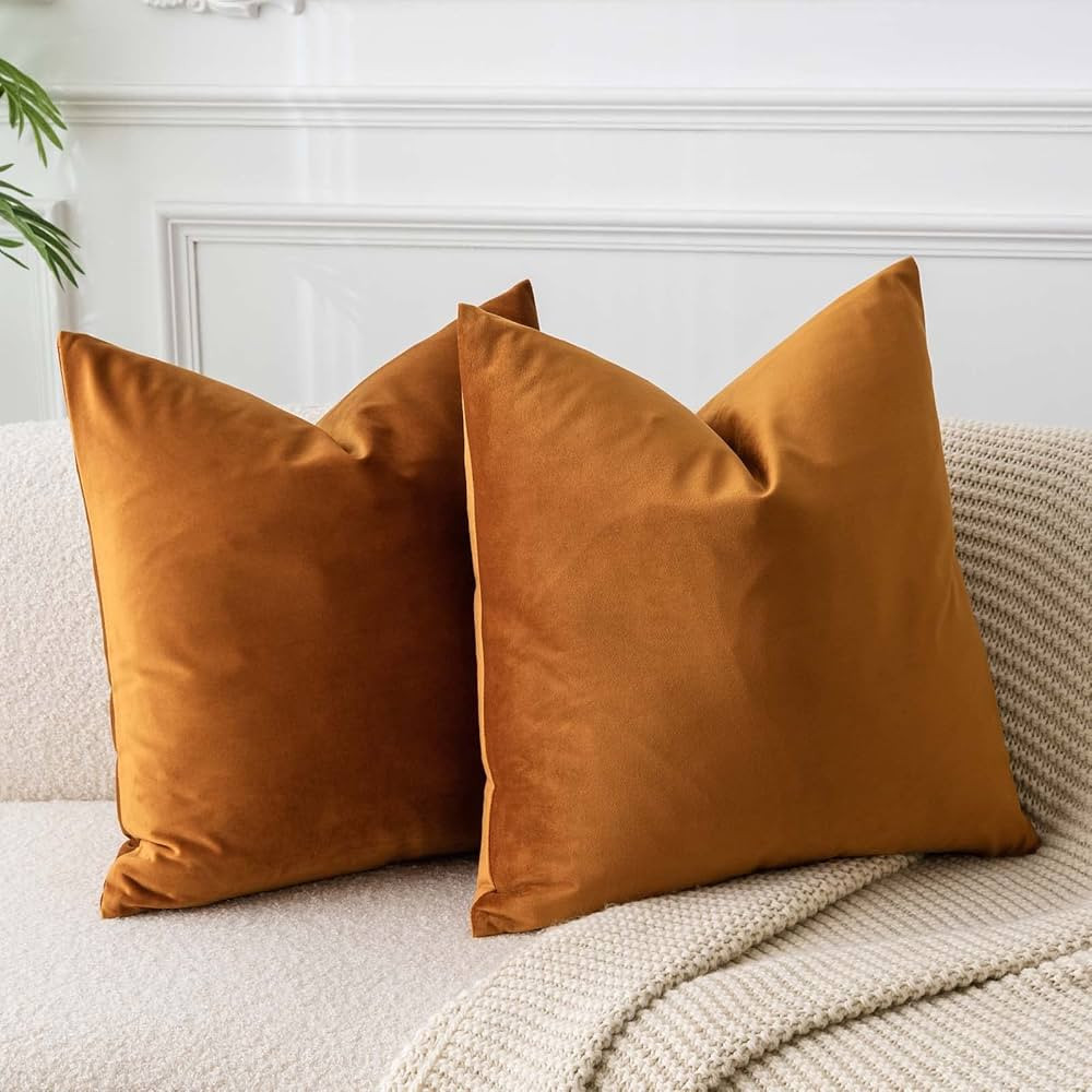 JUSPURBET Velvet Throw Pillow Covers for Sofa Couch Bed,Decorative Soft Pillow Cases Set of 2,22x... | Amazon (US)