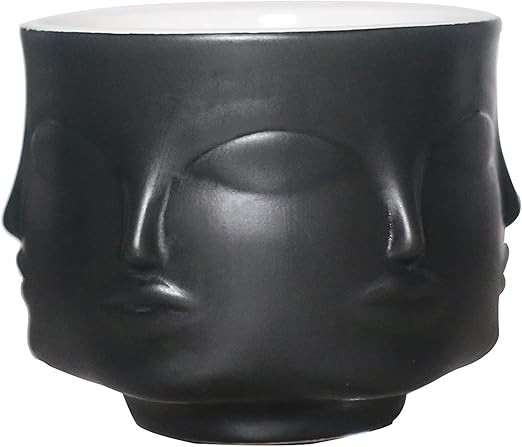 Poitemsic 4-inch Ceramic Small Black Succulent Cactus Face Planter Head Face Flowers Plant Pots V... | Amazon (US)