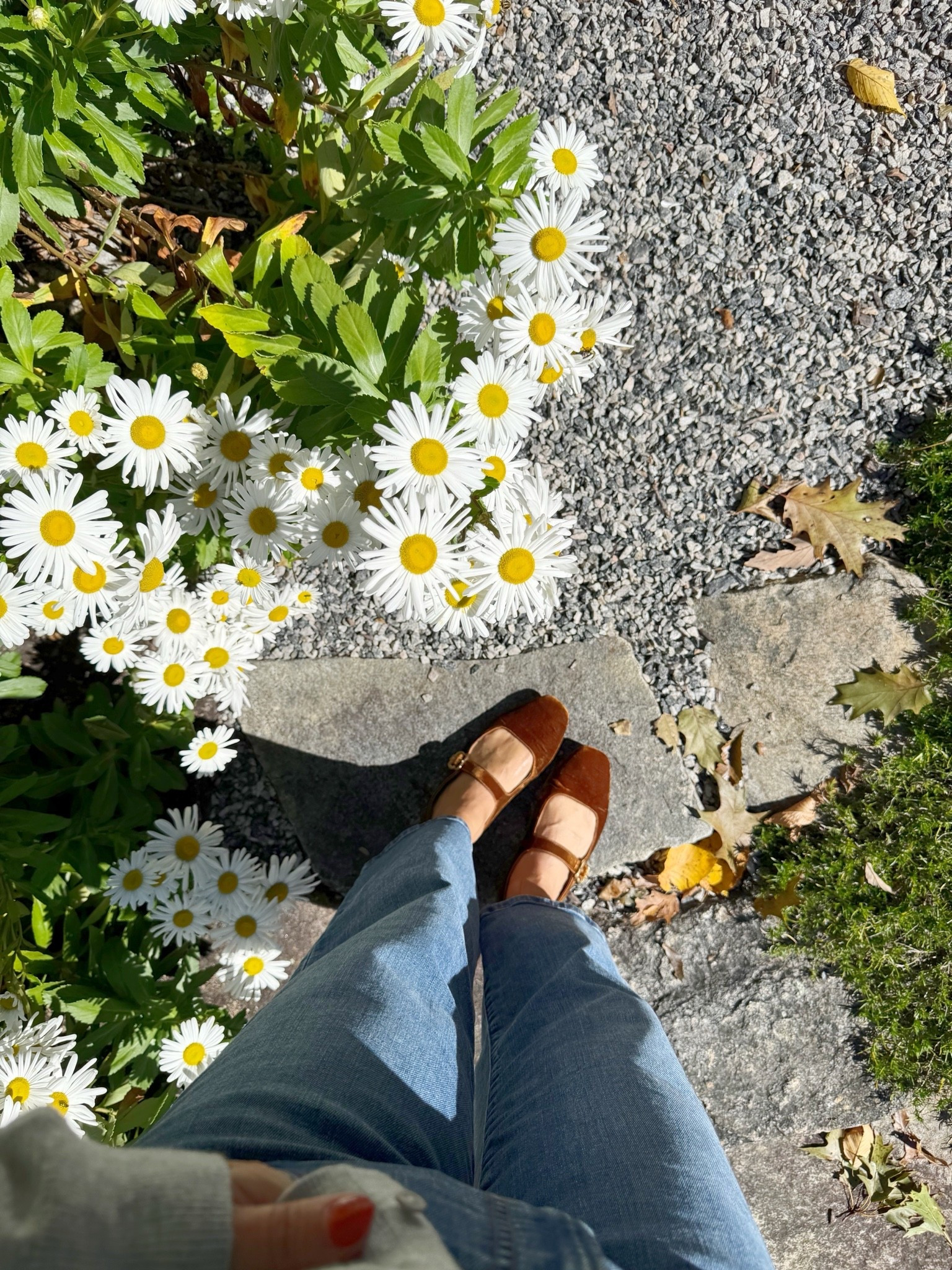 Outfit change into Madewell jeans, Sam Edelman Mary Jane flats